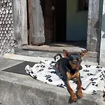 Ferienhuette 4 Dom wakacyjny
