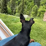 Ferienhuette 4 Dom wakacyjny Seeberg