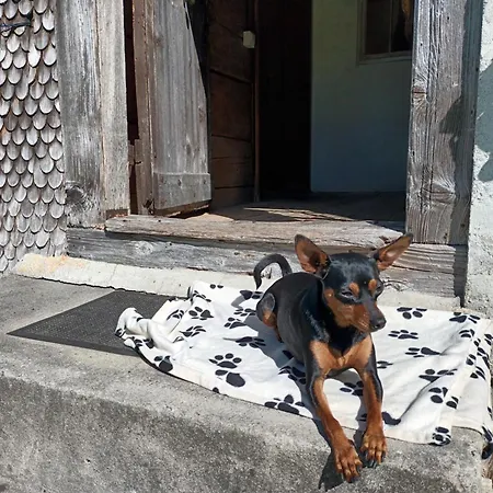 Ferienhuette 4 Holiday home