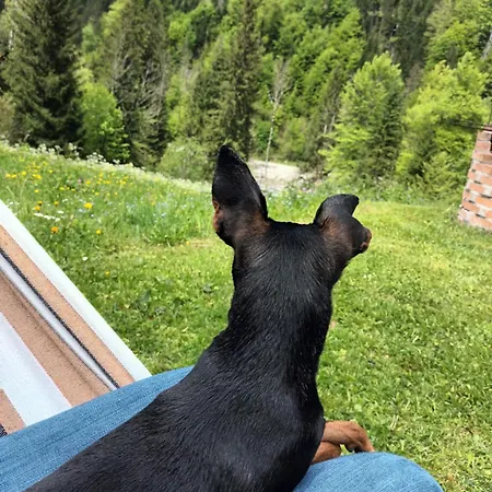 Ferienhuette 4 Holiday home Seeberg