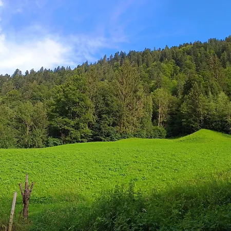 Ferienhuette 4 Seeberg